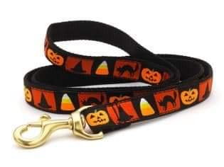 Halloween Dog Leash