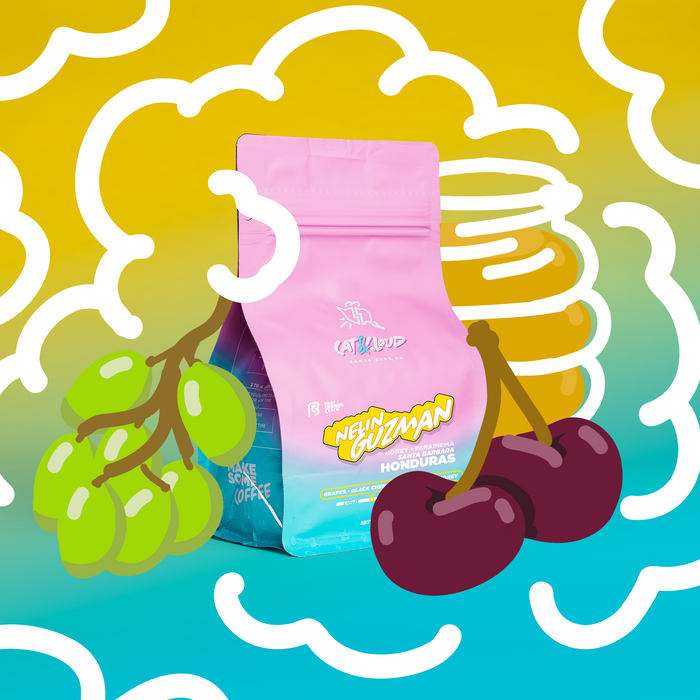 Pink honey processed Honduras coffee bag from Nelin Guzman Santa Barbara against a bright abstract backdrop