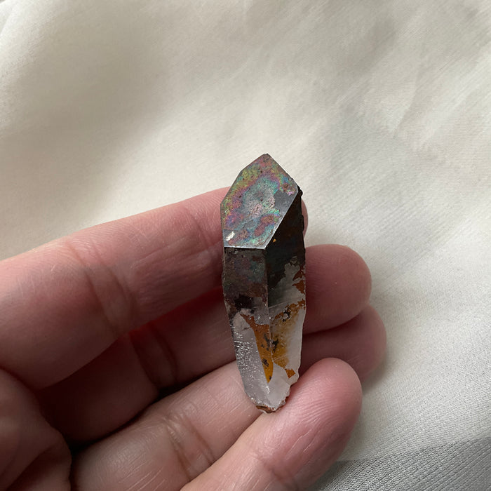 Lion Shaman Black Rainbow Quartz