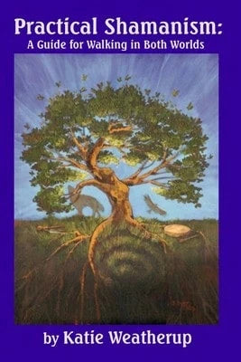 Pre-Owned Practical Shamanism, A Guide For Walking In Both Worlds (Paperback) By Katie Weatherup