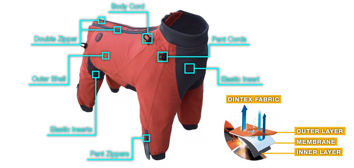 Zesty Dog Body Suit