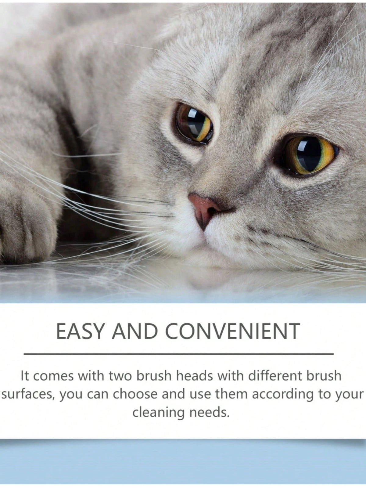 1.01 Fl Oz Cat Chin Acne Care Set- Removes Cat Chin Blackheads, Includes Cleansing Brush, Cruelty-Free, Keeps Cat Chin Soft & Fresh