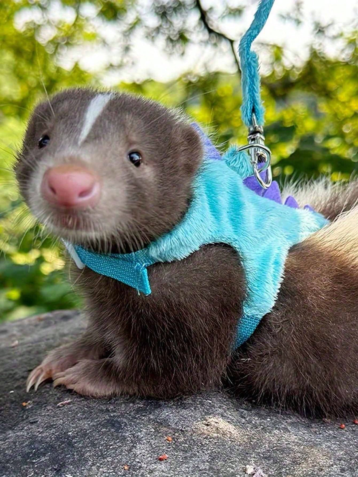 1pc Cute Dinosaur Adjustable Leash And Harness Set, Suitable For Ferrets, Lizards, Guinea Pigs, Hamsters And Other Small Pets, Hamster Supplies, Ferret Leash, Guinea Pig Supplies, Rabbit Supplies, Ham