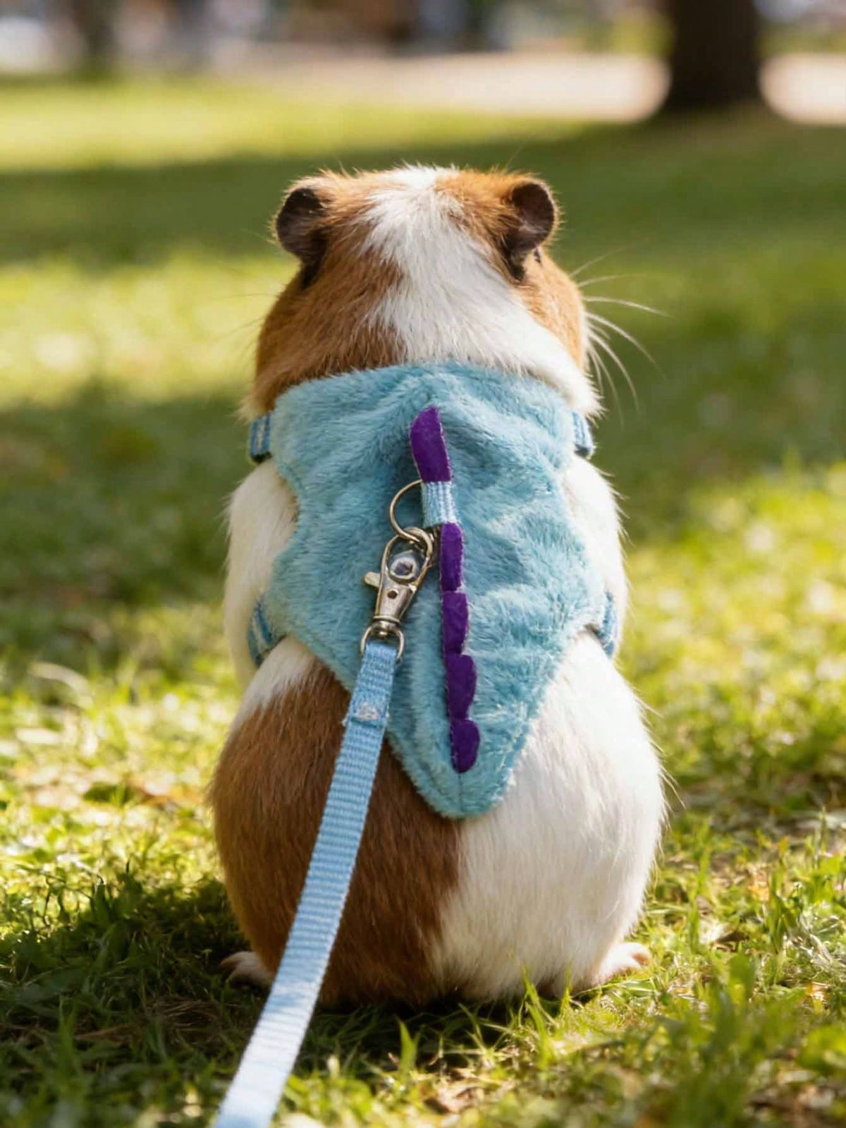 1pc Cute Dinosaur Adjustable Leash And Harness Set, Suitable For Ferrets, Lizards, Guinea Pigs, Hamsters And Other Small Pets, Hamster Supplies, Ferret Leash, Guinea Pig Supplies, Rabbit Supplies, Ham