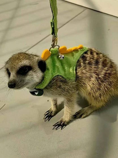 1pc Cute Dinosaur Adjustable Leash And Harness Set, Suitable For Ferrets, Lizards, Guinea Pigs, Hamsters And Other Small Pets, Hamster Supplies, Ferret Leash, Guinea Pig Supplies, Rabbit Supplies, Ham