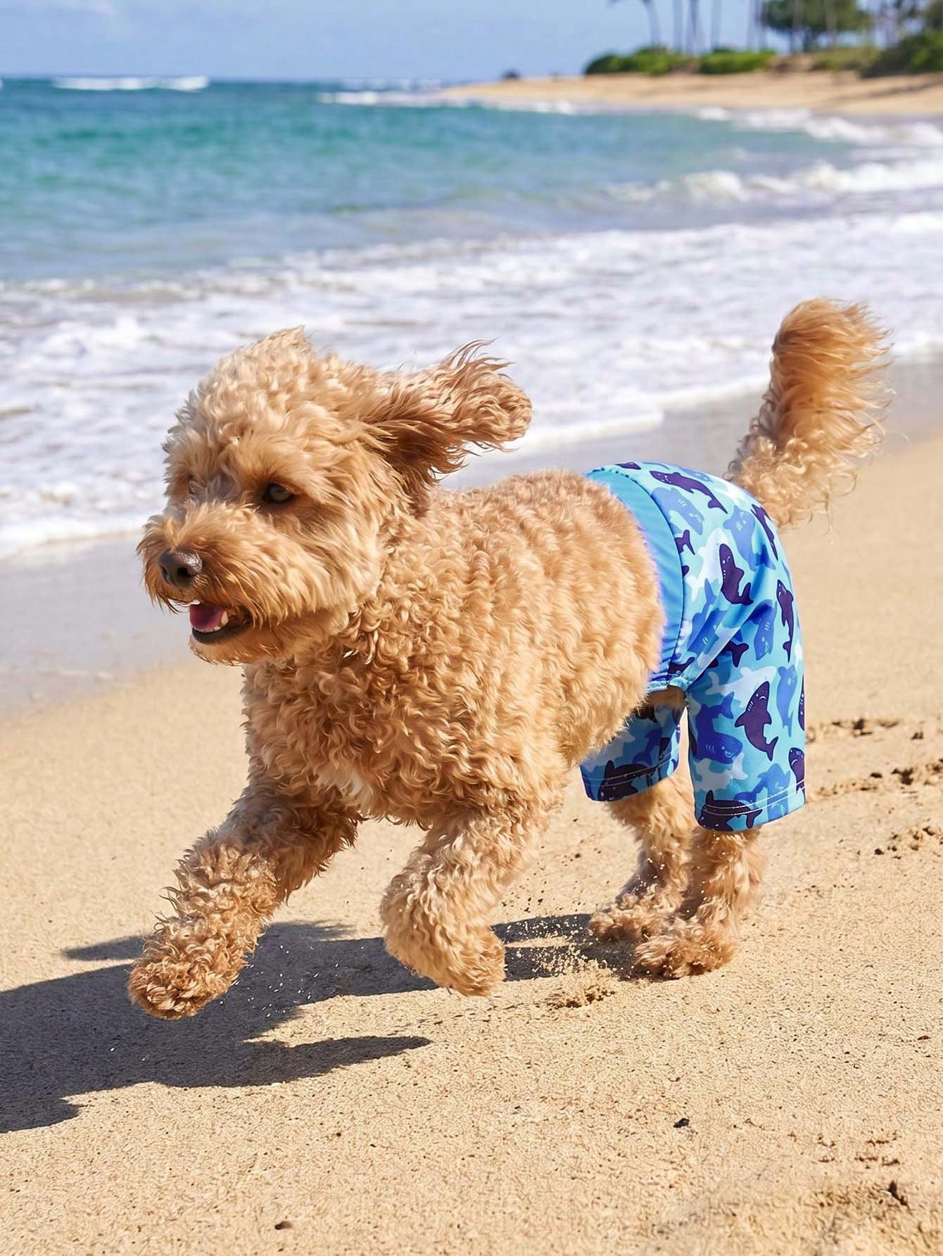 1pc Durable & Comfortable Dog Swimming Shorts- Quick Dry, Adjustable Waist Swim Trunks With UV Protection Function- Ideal For Beach, Pool And Outdoor Activities