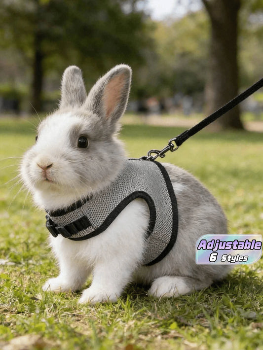 1pc Multicolor Rabbit Harness With Leash, Adjustable Rabbit Chest Strap, Cute Pet Collar And Leash Set For Small Animals Like Rabbit, Ferret, Lizard, Guinea Pig, Hamster