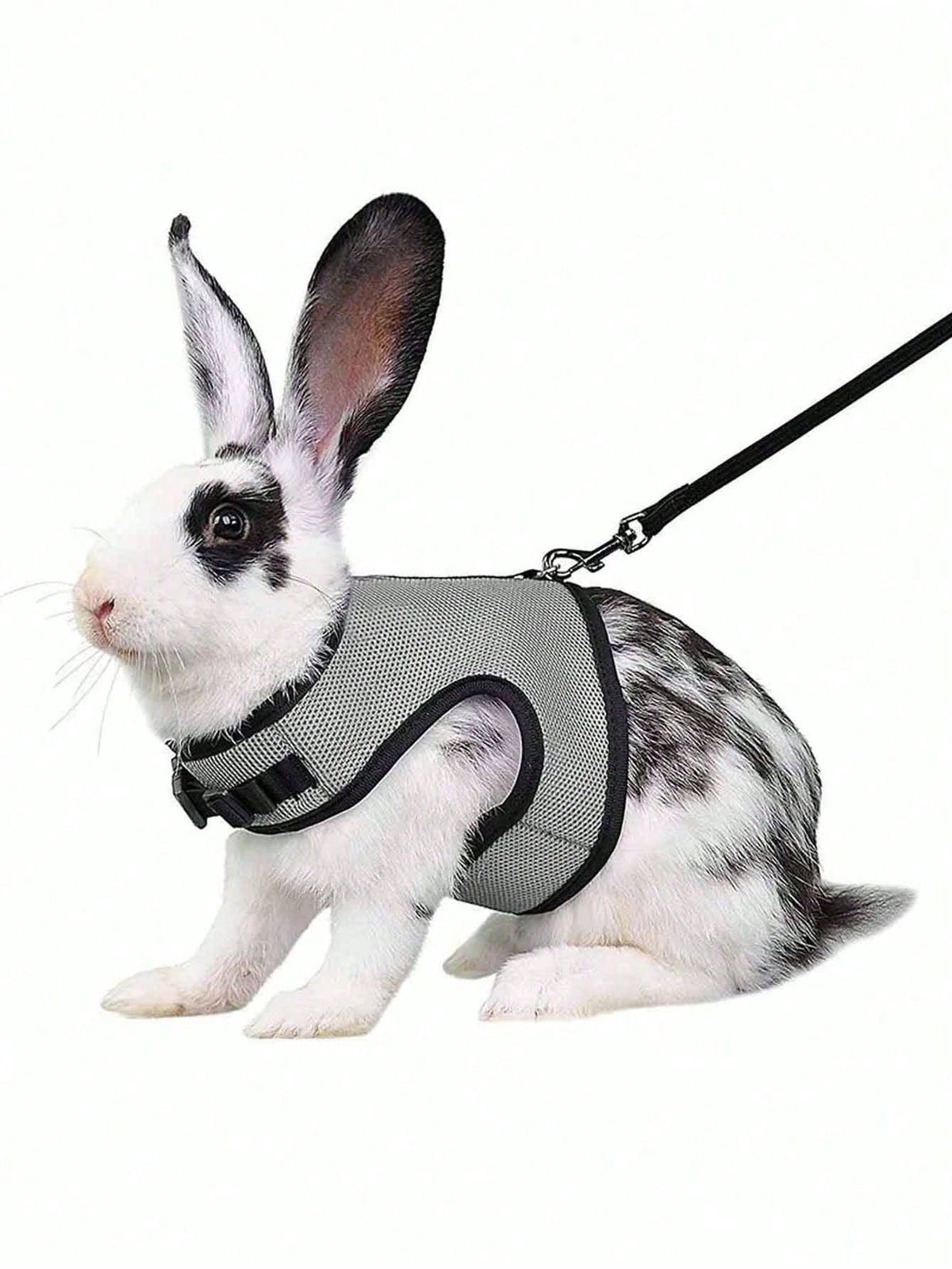 1pc Multicolor Rabbit Harness With Leash, Adjustable Rabbit Chest Strap, Cute Pet Collar And Leash Set For Small Animals Like Rabbit, Ferret, Lizard, Guinea Pig, Hamster