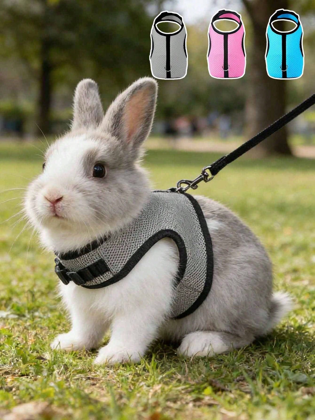 1pc Multicolor Rabbit Harness With Leash, Adjustable Rabbit Chest Strap, Cute Pet Collar And Leash Set For Small Animals Like Rabbit, Ferret, Lizard, Guinea Pig, Hamster