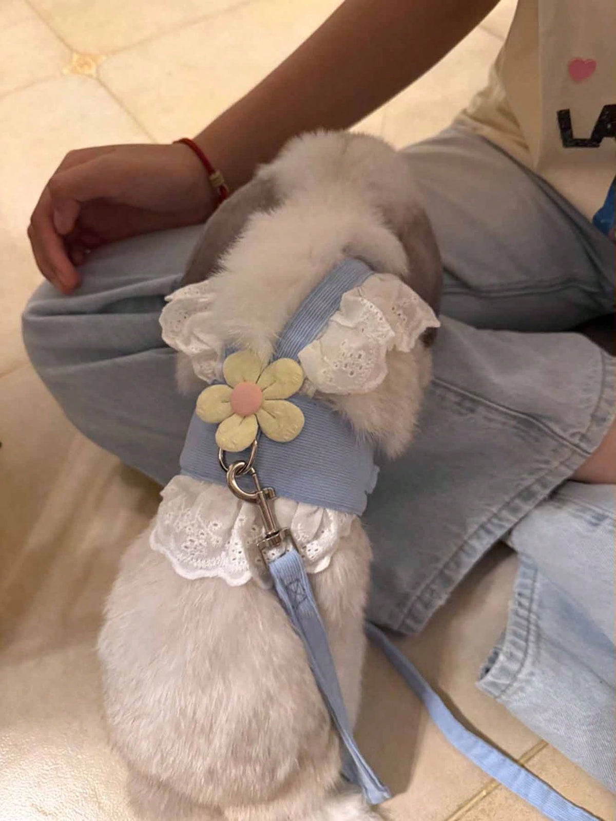 1pc Rabbit & Flower Decor Chest Strap Leash, Outdoor Pet Escape Prevention Clothing Chest Strap