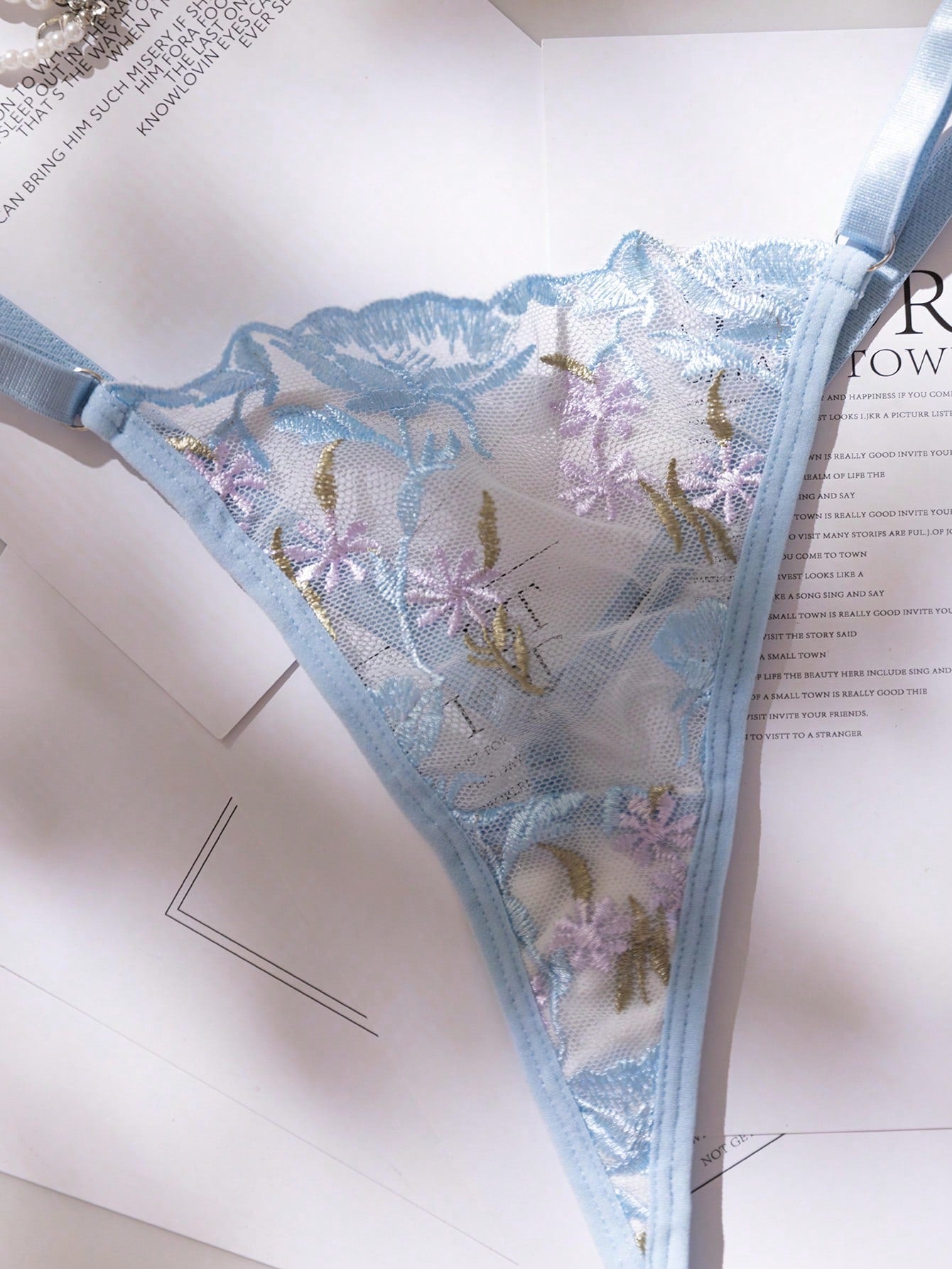 2pcs/Set Women Solid Color Embroidered Sheer Camisole Nightgown And Thong Panty Set