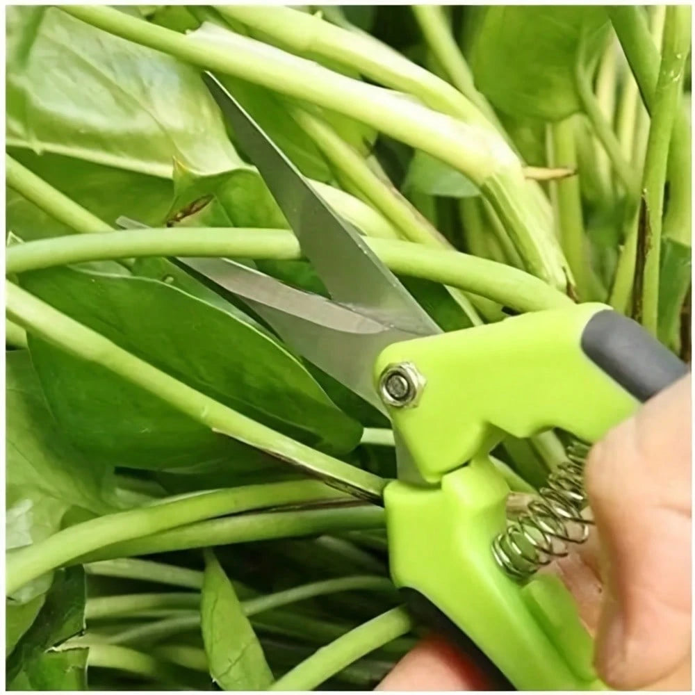 2pcs Stainless Steel Loppers, Flower Branch Shears, Household Pruning Hand Tool, Gardening & Lawn Care, Yard Supplies
