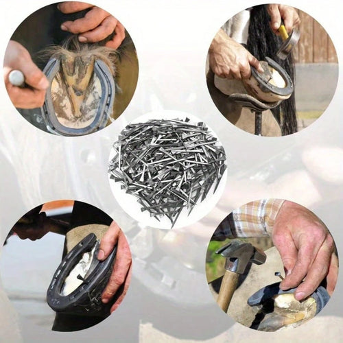 50pcs/Set Stainless Steel Horse Shoe Nails, Horseshoe Nails, Hoof Nails, For Fixing Horse Hooves, Horse Training, Equestrian Sports, Horse Gear