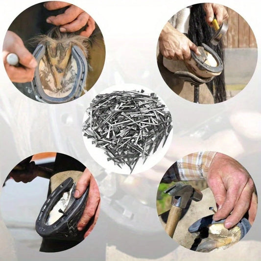 50pcs/Set Stainless Steel Horse Shoe Nails, Horseshoe Nails, Hoof Nails, For Fixing Horse Hooves, Horse Training, Equestrian Sports, Horse Gear