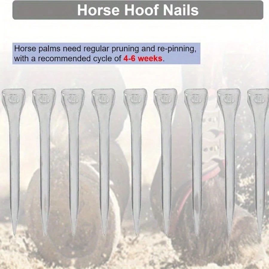 50pcs/Set Stainless Steel Horse Shoe Nails, Horseshoe Nails, Hoof Nails, For Fixing Horse Hooves, Horse Training, Equestrian Sports, Horse Gear