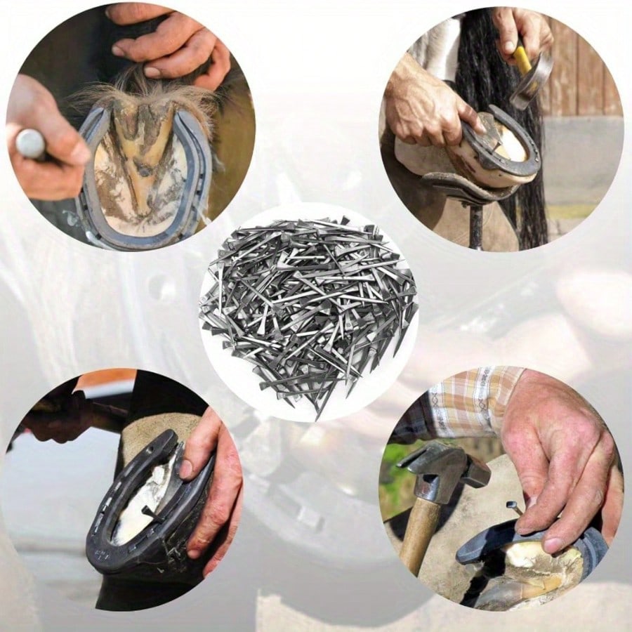 50pcs/Set Stainless Steel Horse Shoe Nails, Horseshoe Nails, Hoof Nails, For Fixing Horse Hooves, Horse Training, Equestrian Sports, Horse Gear