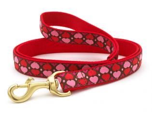 All Hearts Dog Leash
