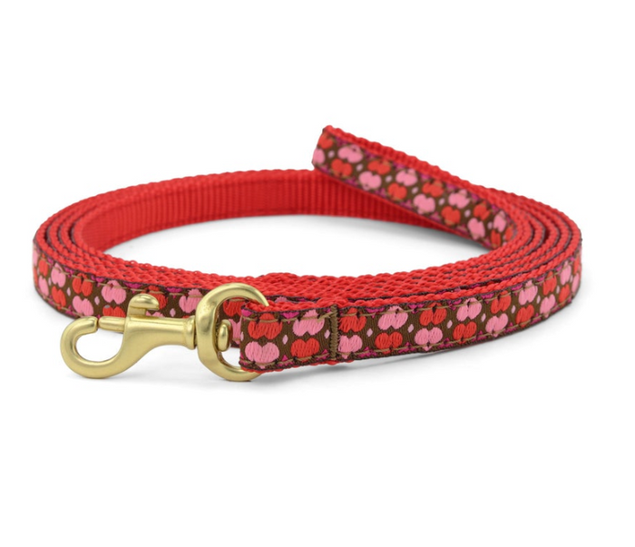 All Hearts Dog Leash