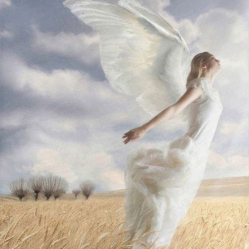 Angel Blessed Crystal