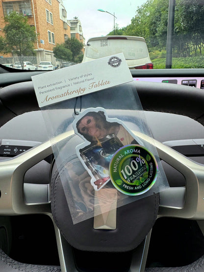Assorted Car Fragrance Pads, Wardrobe Air Fresheners, Fragrance, Rearview Mirror Decorations, Car Interior Hanging Decorations, Natural Scents Air Purifier, Cartoon Bathroom Fragrance Bags, Home & Off