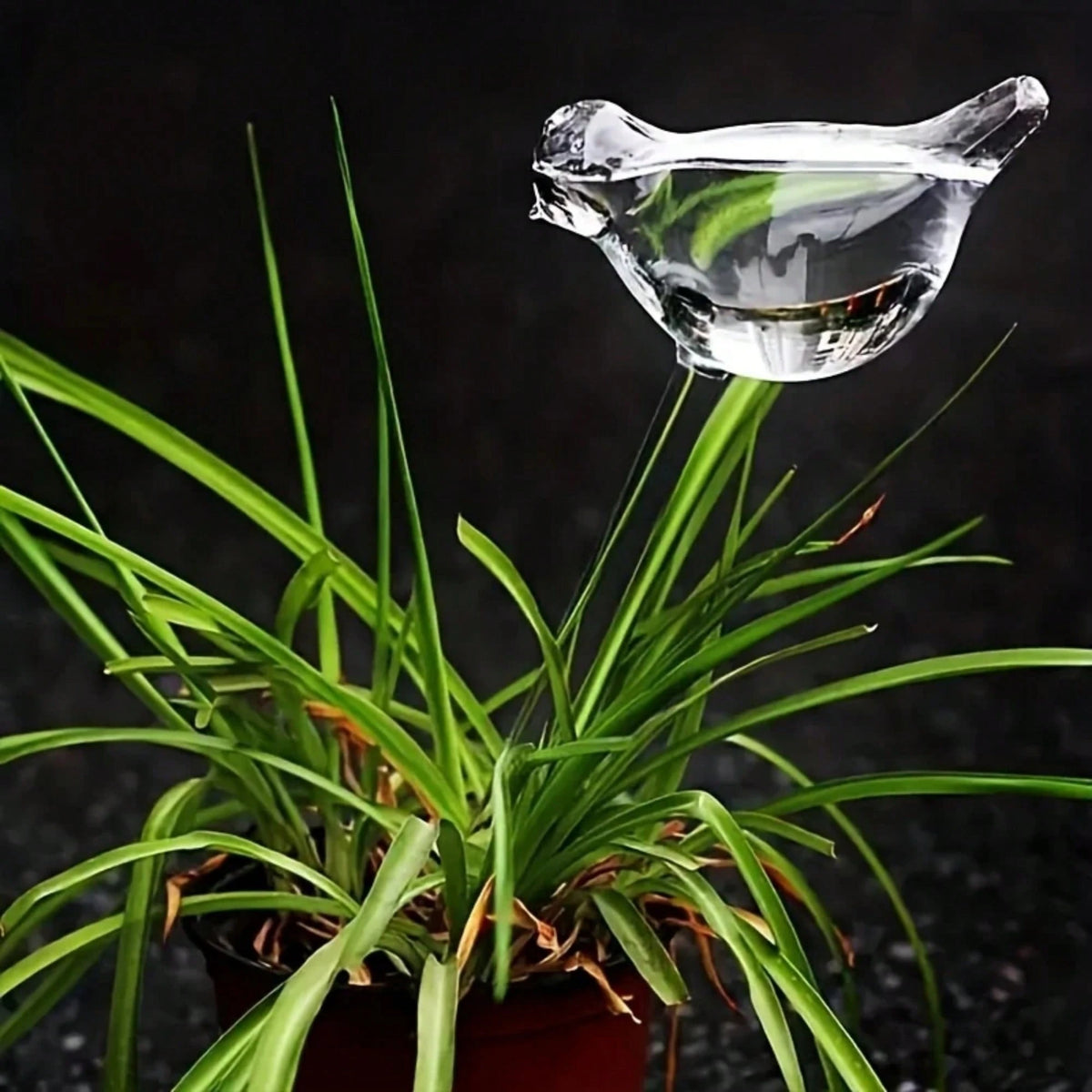 Bird-Shaped Self-Watering Globes, Automatic Plant Watering System For Indoor & Outdoor Gardens, Home Gardening Tools, No Electricity Needed, Ideal For Succulents & Flowers, Automatic Drip Irrigation E