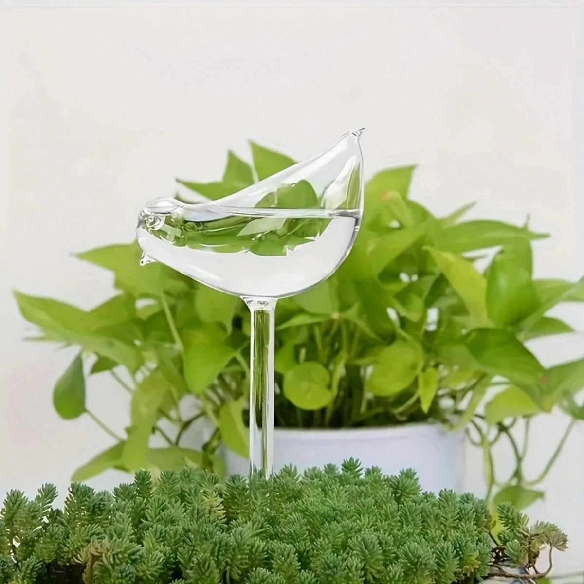 Bird-Shaped Self-Watering Globes, Automatic Plant Watering System For Indoor & Outdoor Gardens, Home Gardening Tools, No Electricity Needed, Ideal For Succulents & Flowers, Automatic Drip Irrigation E