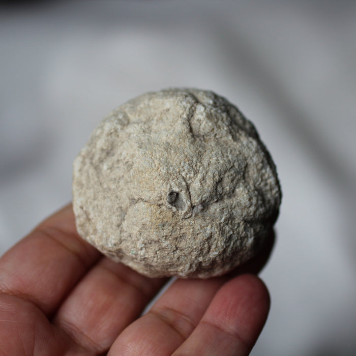Calcite Geode