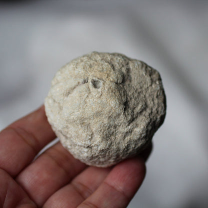 Calcite Geode