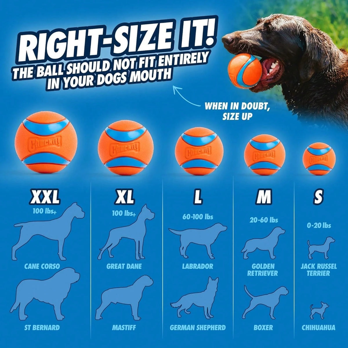 Chuckit! EcoFetch Dog Ball Launcher- 18" With Medium (2.5") Dog Fetch Ball Thrower, For Dogs 20-60 Pounds, Made In USA