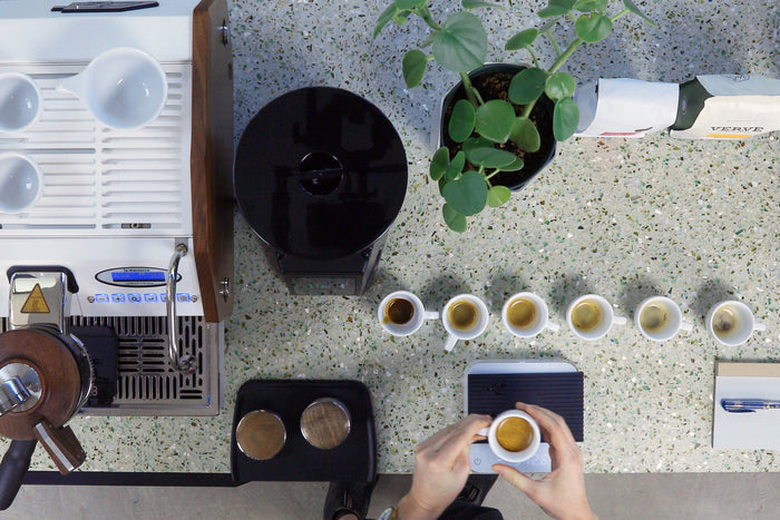 Top-down view of a modern espresso station with a white machine on the left, a grinder in the center, and a potted plant.