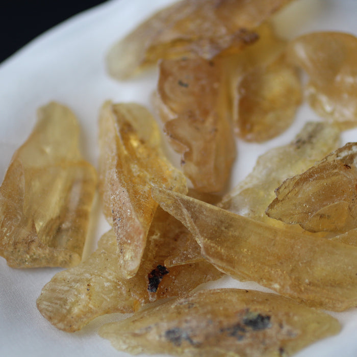 Copal Amber
