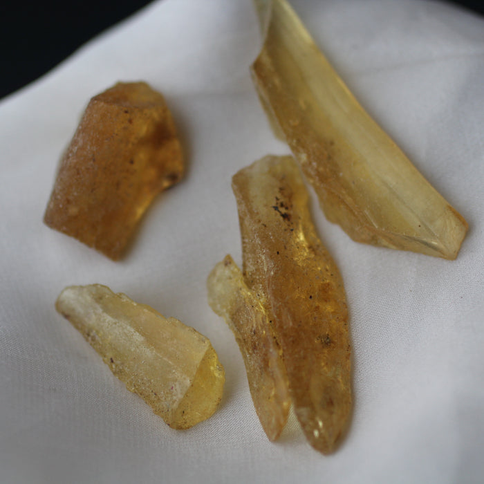 Copal Amber