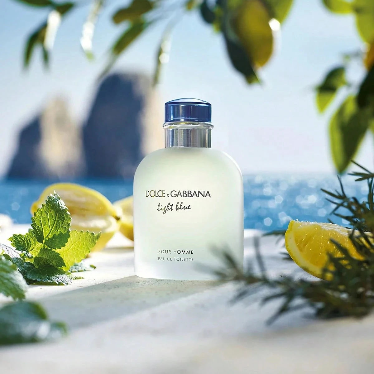 Dolce Gabbana Dolce & Gabbana Light Blue Pour Homme Fresh Men Cologne 100ml