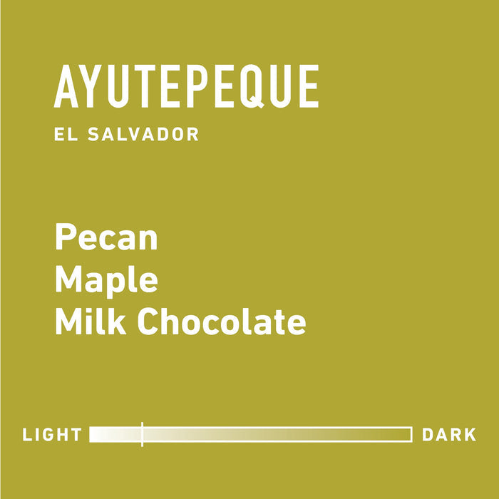 Topeca coffee bag close up showing Pecan Maple Milk Chocolate flavor on an olive background