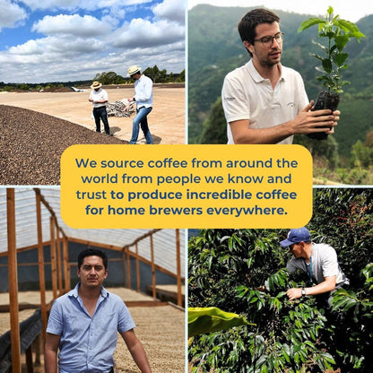 Collage of coffee sourcing scenes with workers inspecting beans, a person holding a plant, a drying area, and coffee bushes.