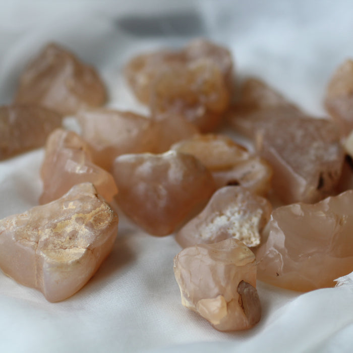 Faery Fossil Desert Agate