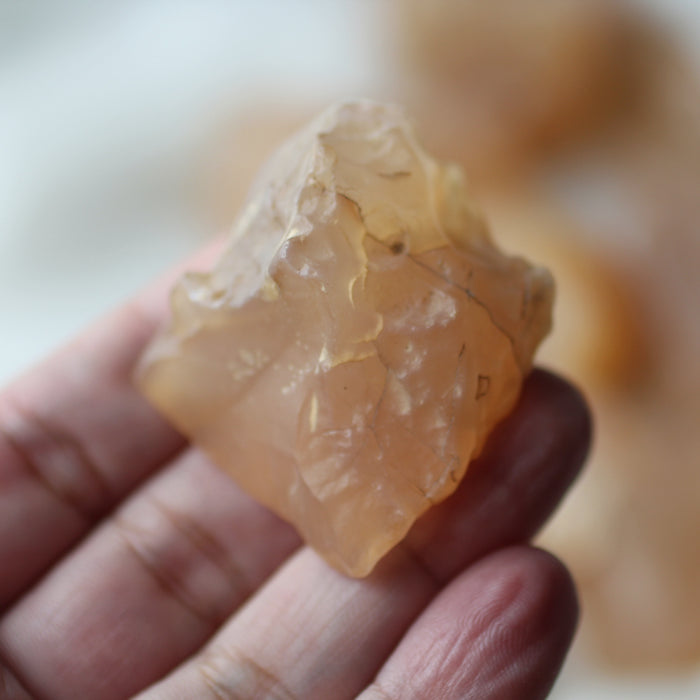 Faery Fossil Desert Agate