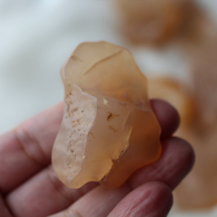Faery Fossil Desert Agate