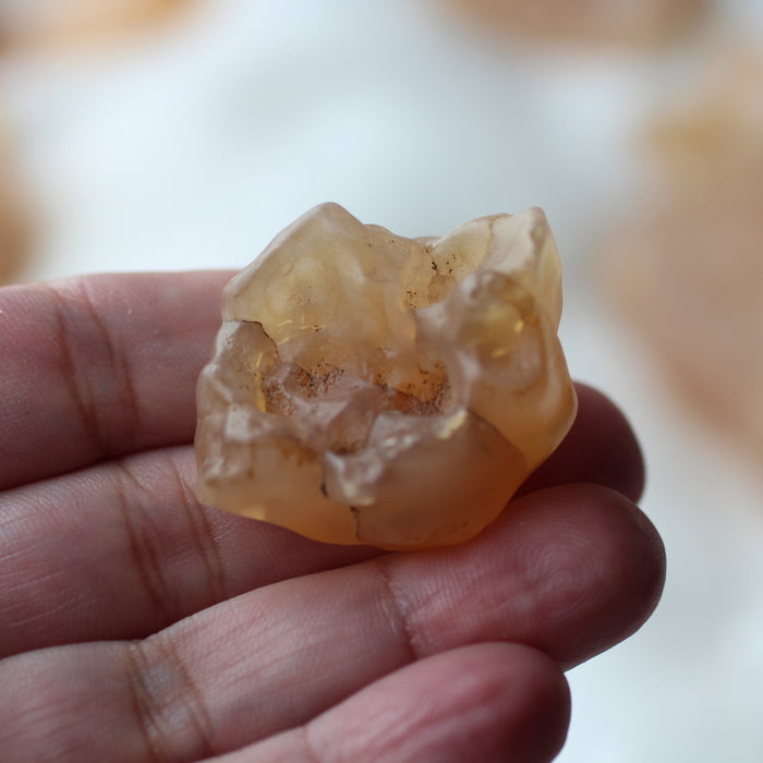 Faery Fossil Desert Agate