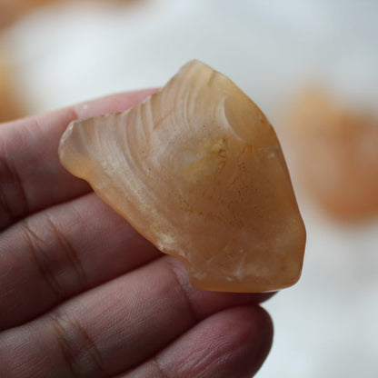 Faery Fossil Desert Agate