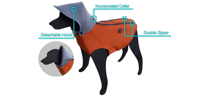 Fiery Dog Body Suit