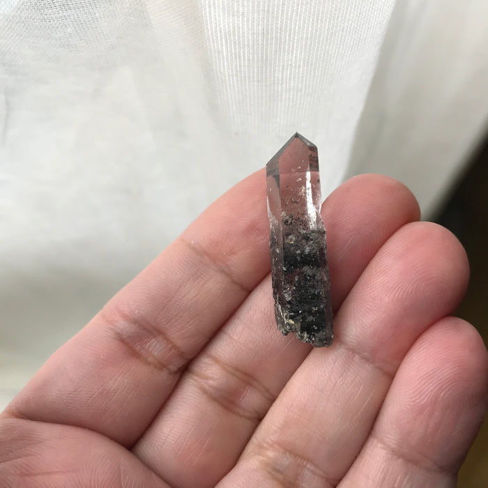 Forest for the Trees Crossroads Crystal