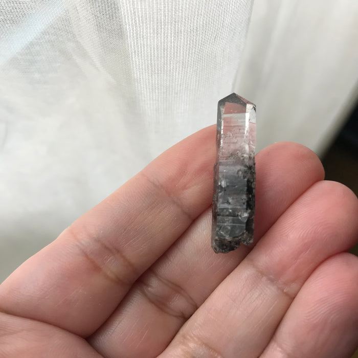 Forest for the Trees Crossroads Crystal