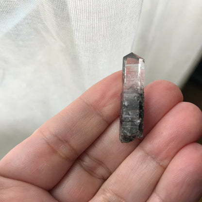 Forest for the Trees Crossroads Crystal