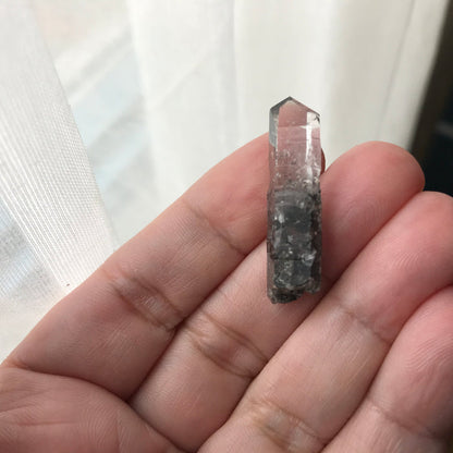 Forest for the Trees Crossroads Crystal