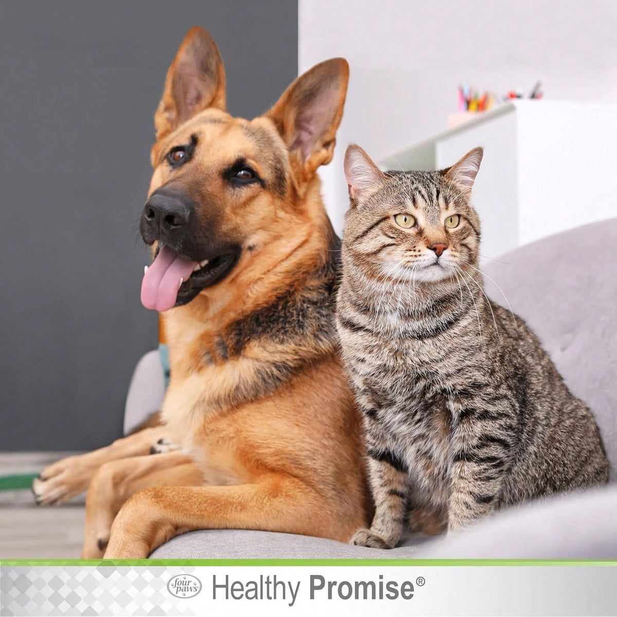 Four Paws Healthy Promise Quick Action Blood Stopper Styptic Powder For Dogs &Amp; Cats, 05 Ounces (Pack Of 1)
