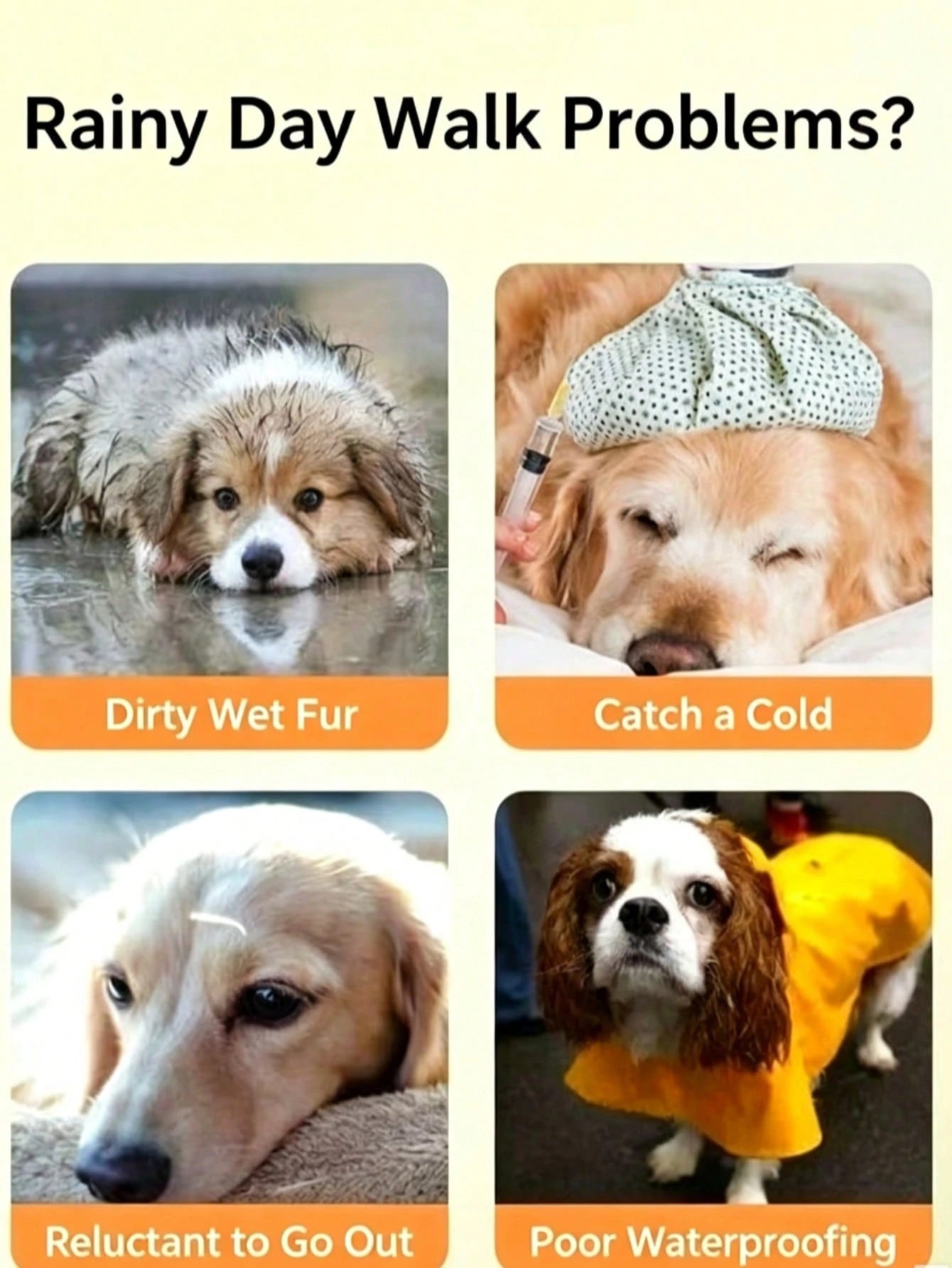 Fruit Series Waterproof Dog Raincoat Set, Includes 1pc Raincoat And Waterproof Leash, Multiple Colors Available, Windproof And Fully Waterproof, Full Coverage Design, With Special Buckles, Anti-Slip R