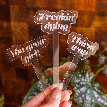 Funny Acrylic Plant Markers