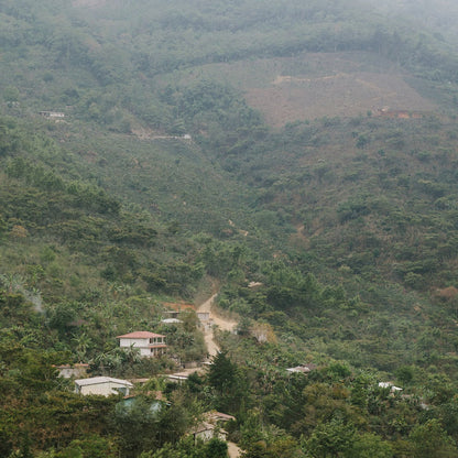 Hilly Huehuetenango coffee farm landscape with houses and a winding dirt road