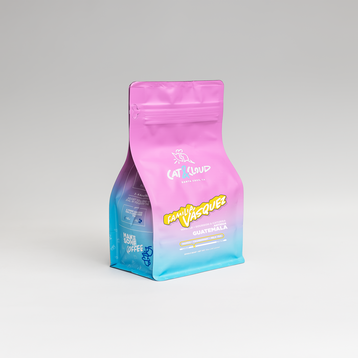 Cat & Cloud Guatemala Familia Vasquez coffee bag with pink top and blue gradient label against a light gray backdrop